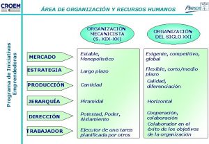 REA DE ORGANIZACIN Y RECURSOS HUMANOS Programa de