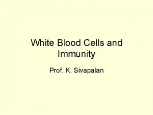 White Blood Cells and Immunity Prof K Sivapalan