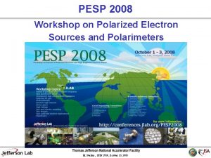 PESP 2008 Workshop on Polarized Electron Sources and