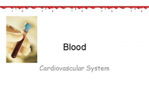 Blood Cardiovascular System Blood Functions 1 Transports Dissolved