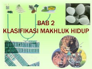 BAB 2 KLASIFIKASI MAKHLUK HIDUP POKOK BAHASAN Sistem