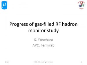 Progress of gasfilled RF hadron monitor study K