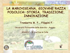 LA MARCHIGIANA GIOVANE RAZZA PODOLICA STORIA TRADIZIONE INNOVAZIONE