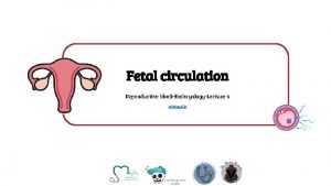 Fetal circulation Reproductive blockEmbryologyLecture 6 Editing file Objectives