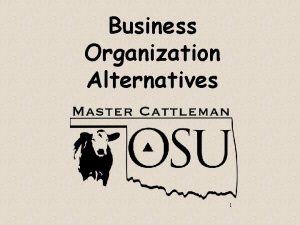 Business Organization Alternatives 1 Organization Alternatives 1 2