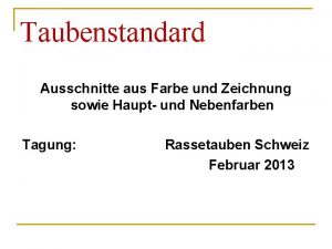 Taubenstandard Ausschnitte aus Farbe und Zeichnung sowie Haupt