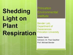 Shedding Light on Plant Respiration Princeton Environmental Institute