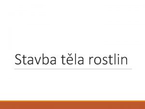 Stavba tla rostlin Zklady biologie rostlin Biologie je