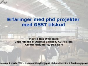 Erfaringer med phd projekter med GSST tilskud Martin