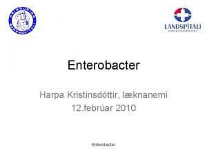 Enterobacter Harpa Kristinsdttir lknanemi 12 febrar 2010 Enterobacter