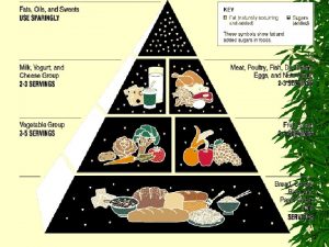 Plant Nutrition Vs Plant Fertilization Nutrition Availability and