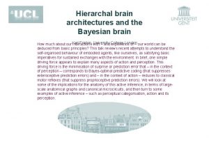Hierarchal brain architectures and the Bayesian brain Friston