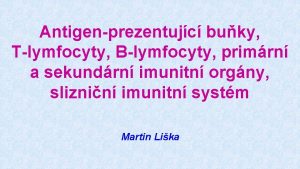 Antigenprezentujc buky Tlymfocyty Blymfocyty primrn a sekundrn imunitn