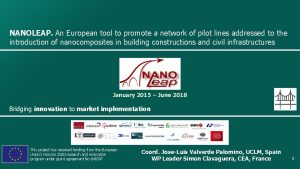NANOLEAP An European tool to promote a network