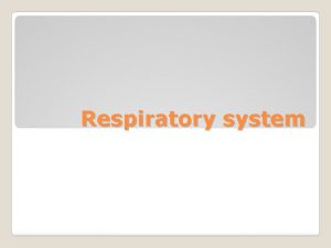 Respiratory system Your respiratory system is all about