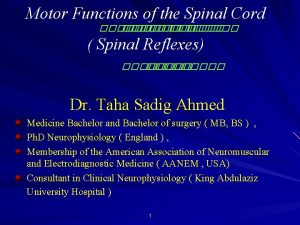 Motor Functions of the Spinal Cord Spinal Reflexes