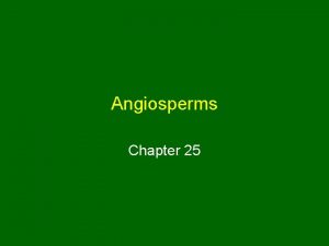 Angiosperms Chapter 25 Angiosperms Means seed within a