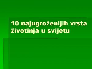 10 najugroenijih vrsta ivotinja u svijetu 10 VUK