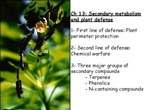 Ch 13 Secondary metabolism and plant defense 1