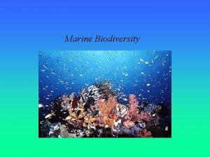 Marine Biodiversity Comparison of Biodiversity on Land in