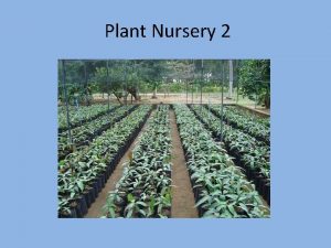 Plant Nursery 2 Plant Nursery Objectives 1 State