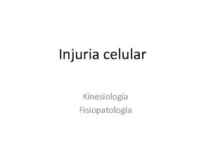 Injuria celular Kinesiologa Fisiopatologa Injuria celular Las clulas