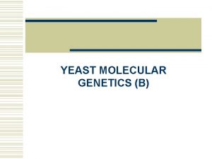 YEAST MOLECULAR GENETICS B Stefan Hohmann 2000 2004