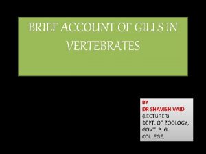 BRIEF ACCOUNT OF GILLS IN VERTEBRATES BY DR