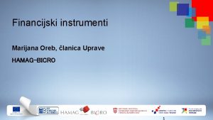 Financijski instrumenti Marijana Oreb lanica Uprave HAMAGBICRO 1