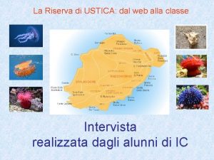 La Riserva di USTICA dal web alla classe