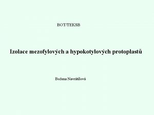 BOTTEKSB Izolace mezofylovch a hypokotylovch protoplast Boena Navrtilov