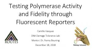 Testing Polymerase Activity and Fidelity through Fluorescent Reporters
