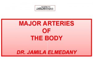 MAJOR ARTERIES OF THE BODY DR JAMILA ELMEDANY