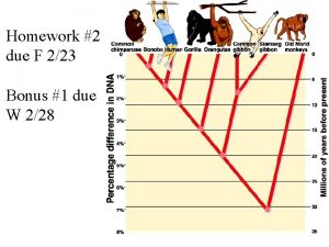 Homework 2 due F 223 Bonus 1 due