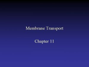 Membrane Transport Chapter 11 Transcellular transport of glucose