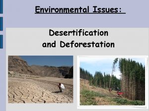 Environmental Issues Desertification and Deforestation Desertification Desertification What