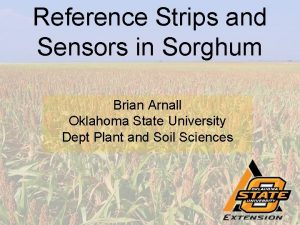 Reference Strips and Sensors in Sorghum Brian Arnall