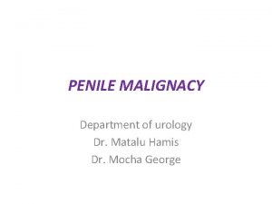 PENILE MALIGNACY Department of urology Dr Matalu Hamis