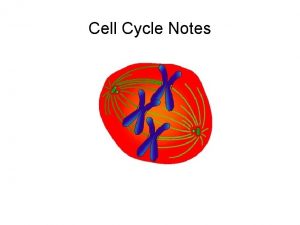 Cell Cycle Notes Mitosis Definition Mitosis is the