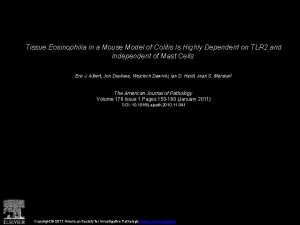 Tissue Eosinophilia in a Mouse Model of Colitis