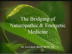 CAND Orientation 2004 The Bridging of Naturopathic Energetic