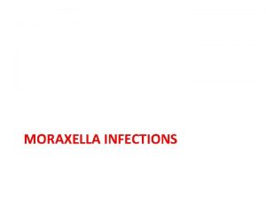 MORAXELLA INFECTIONS Classification Kingdom Phylum Class Order Family