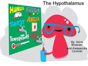 The Hypothalamus By Alicia Brosnan and Alessandra Coronel