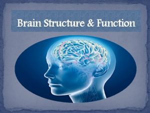 Brain Structure Function Carl Sagan Overview Lobes of