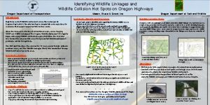 Identifying Wildlife Linkages and Wildlife Collision Hot Spots