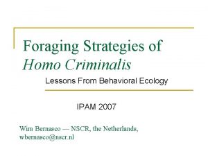Foraging Strategies of Homo Criminalis Lessons From Behavioral