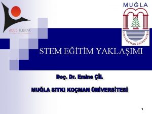 STEM ETM YAKLAIMI 1 STEM Science Technology Engineering