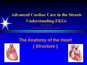 Advanced Cardiac Care in the Streets Understanding EKGs