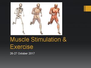 Muscle Stimulation Exercise 26 27 October 2017 Response