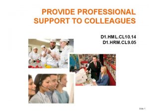 PROVIDE PROFESSIONAL SUPPORT TO COLLEAGUES D 1 HML